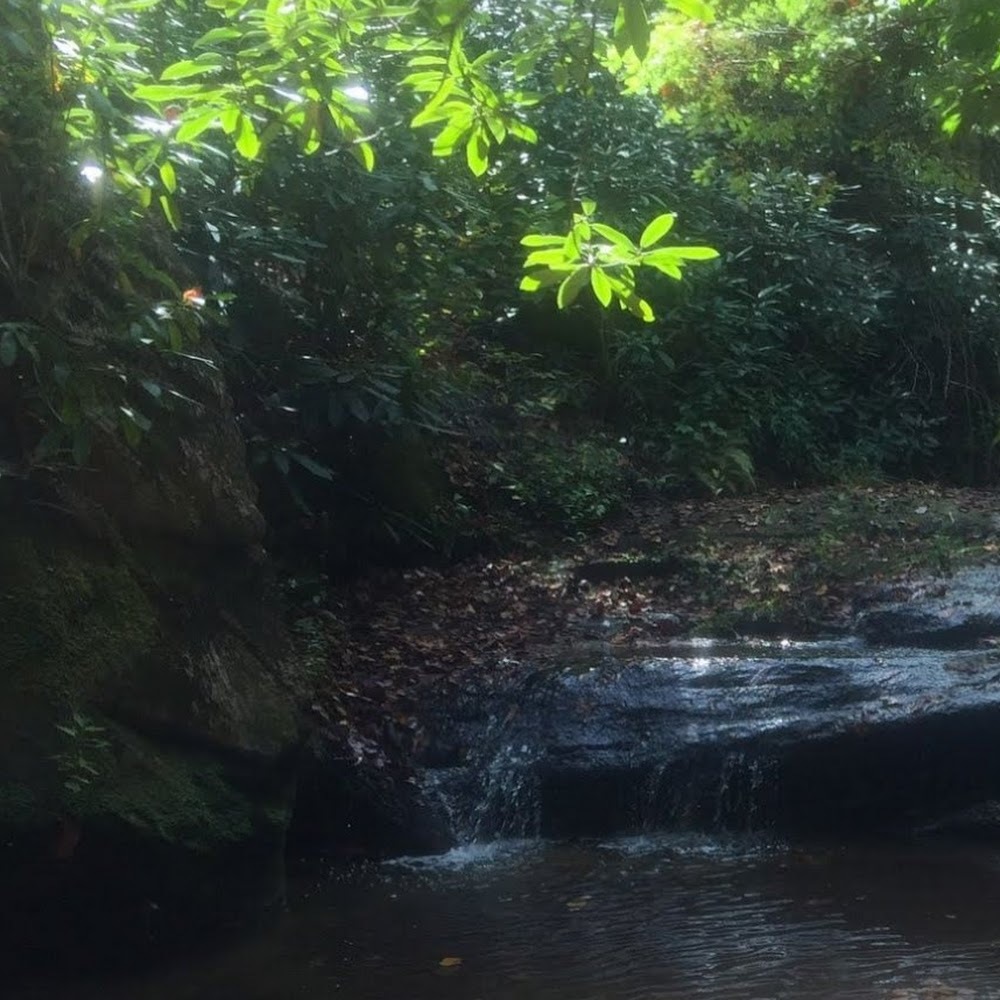 Meet your Posher, Toronto